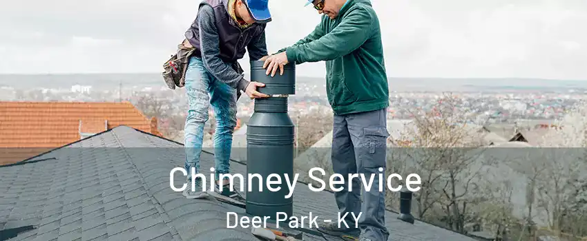 Chimney Service Deer Park - KY