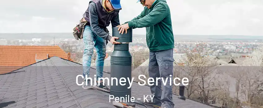 Chimney Service Penile - KY