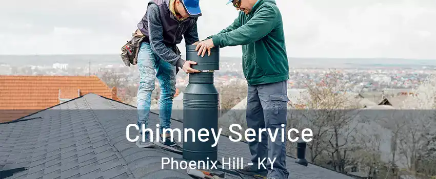 Chimney Service Phoenix Hill - KY