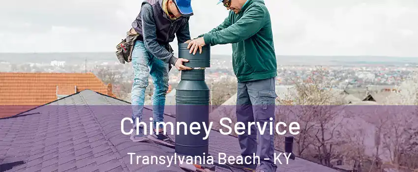 Chimney Service Transylvania Beach - KY