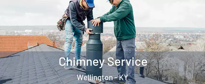 Chimney Service Wellington - KY