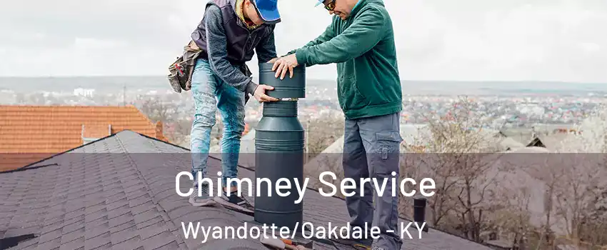 Chimney Service Wyandotte/Oakdale - KY