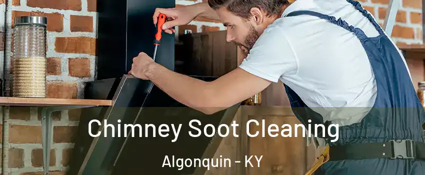 Chimney Soot Cleaning Algonquin - KY