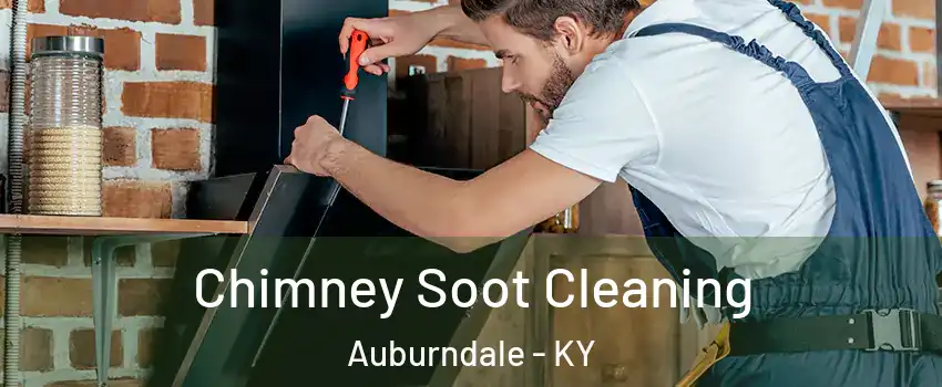 Chimney Soot Cleaning Auburndale - KY