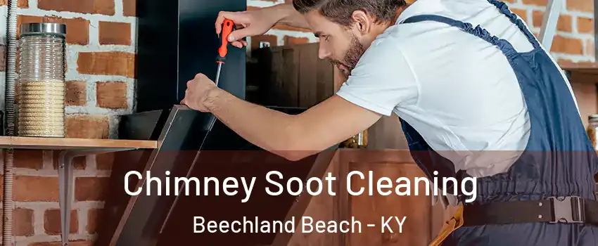 Chimney Soot Cleaning Beechland Beach - KY