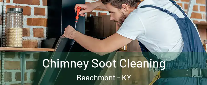 Chimney Soot Cleaning Beechmont - KY