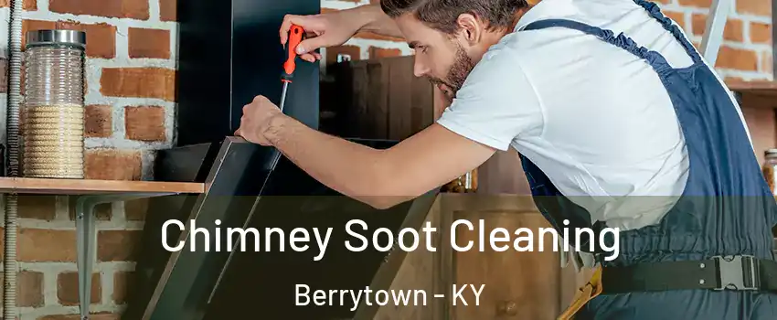 Chimney Soot Cleaning Berrytown - KY