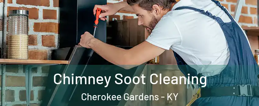 Chimney Soot Cleaning Cherokee Gardens - KY