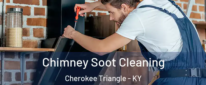 Chimney Soot Cleaning Cherokee Triangle - KY