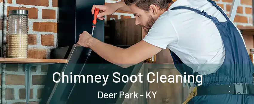 Chimney Soot Cleaning Deer Park - KY