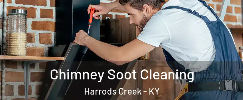 Chimney Soot Cleaning Harrods Creek - KY