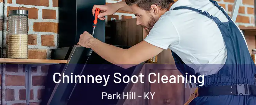 Chimney Soot Cleaning Park Hill - KY