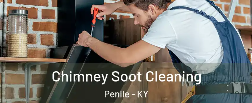 Chimney Soot Cleaning Penile - KY