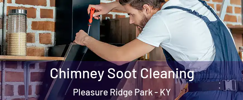 Chimney Soot Cleaning Pleasure Ridge Park - KY