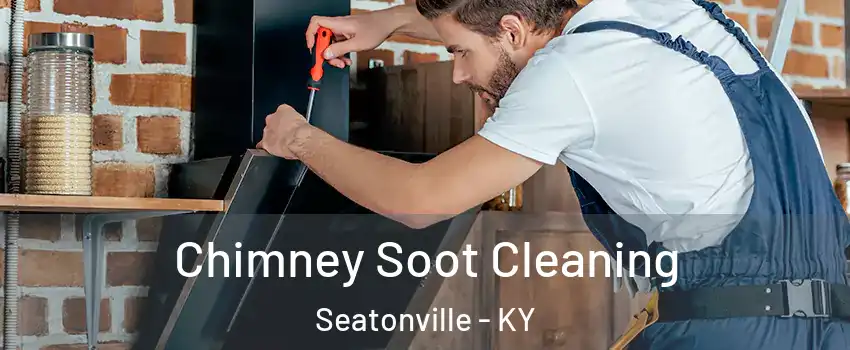 Chimney Soot Cleaning Seatonville - KY