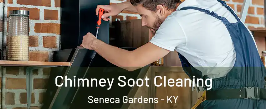 Chimney Soot Cleaning Seneca Gardens - KY