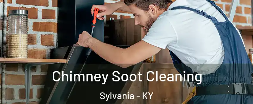 Chimney Soot Cleaning Sylvania - KY