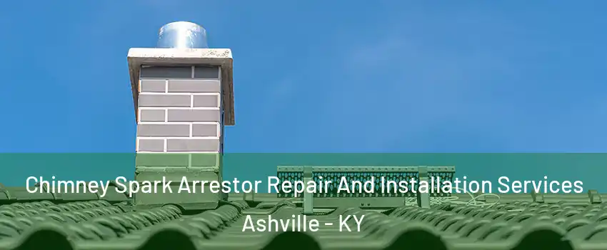 Chimney Spark Arrestor Repair And Installation Services Ashville - KY