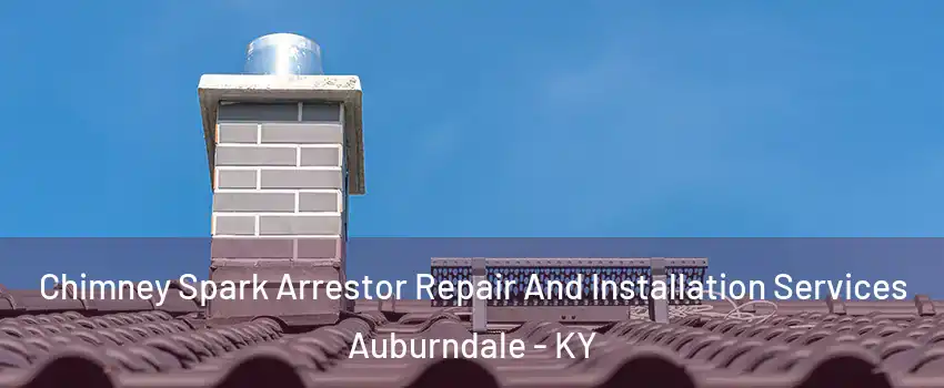 Chimney Spark Arrestor Repair And Installation Services Auburndale - KY