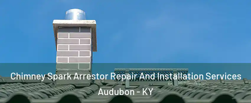 Chimney Spark Arrestor Repair And Installation Services Audubon - KY