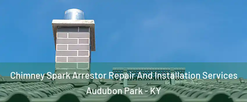 Chimney Spark Arrestor Repair And Installation Services Audubon Park - KY