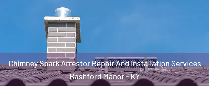 Chimney Spark Arrestor Repair And Installation Services Bashford Manor - KY