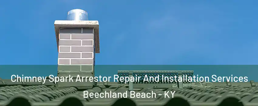 Chimney Spark Arrestor Repair And Installation Services Beechland Beach - KY