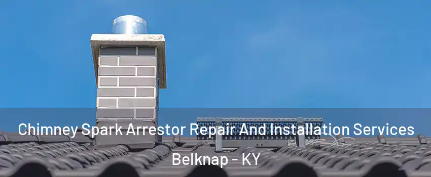 Chimney Spark Arrestor Repair And Installation Services Belknap - KY