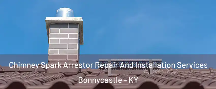 Chimney Spark Arrestor Repair And Installation Services Bonnycastle - KY