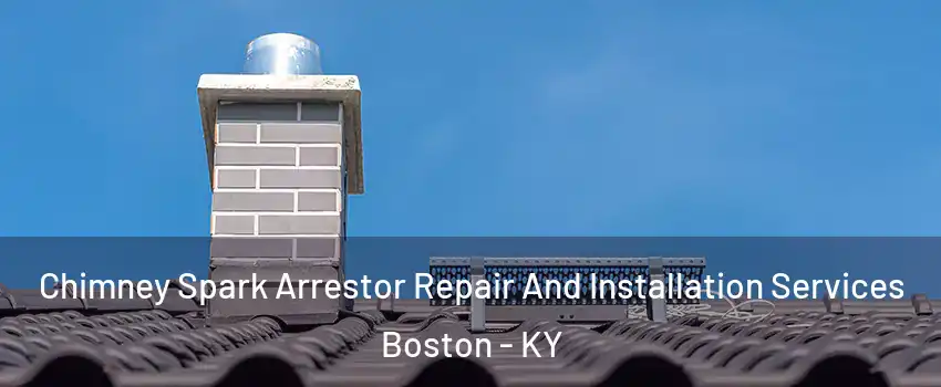 Chimney Spark Arrestor Repair And Installation Services Boston - KY