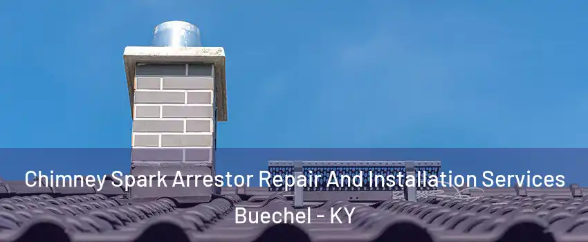 Chimney Spark Arrestor Repair And Installation Services Buechel - KY