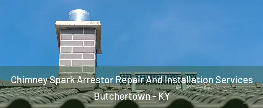 Chimney Spark Arrestor Repair And Installation Services Butchertown - KY