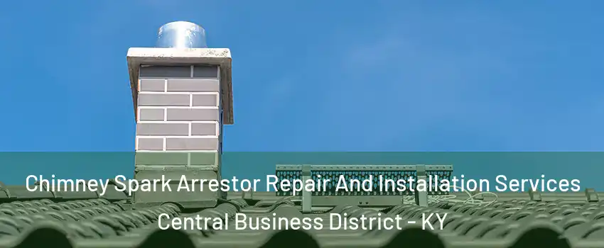 Chimney Spark Arrestor Repair And Installation Services Central Business District - KY