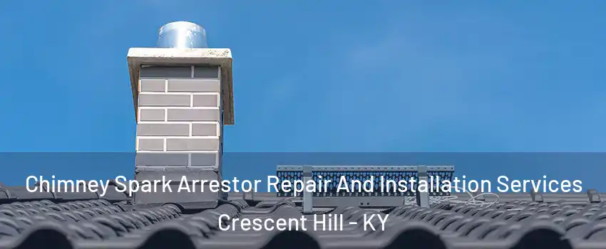 Chimney Spark Arrestor Repair And Installation Services Crescent Hill - KY