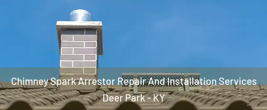 Chimney Spark Arrestor Repair And Installation Services Deer Park - KY