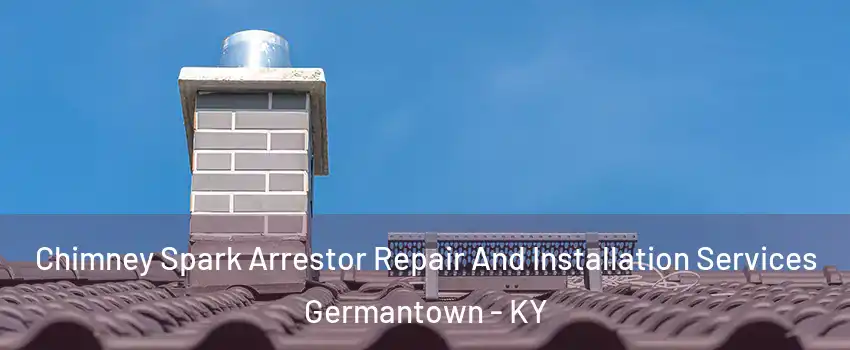 Chimney Spark Arrestor Repair And Installation Services Germantown - KY