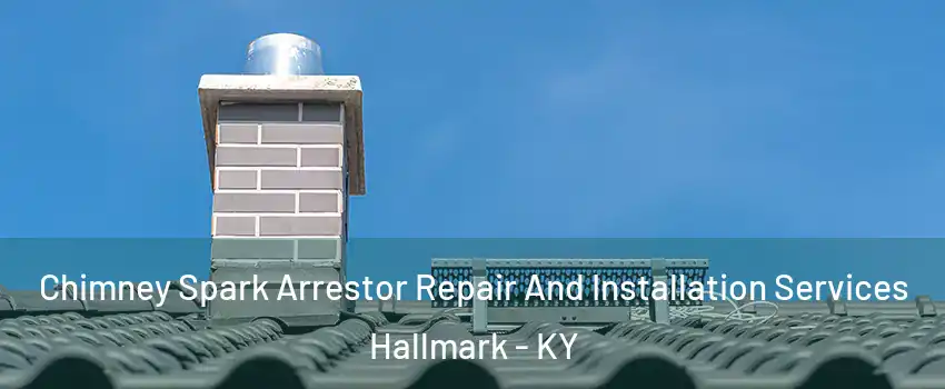 Chimney Spark Arrestor Repair And Installation Services Hallmark - KY