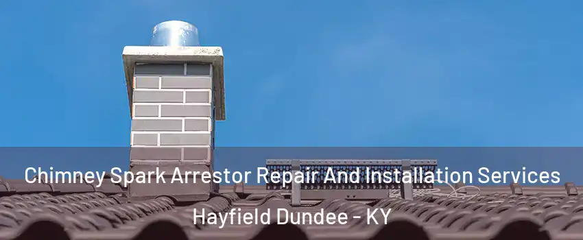 Chimney Spark Arrestor Repair And Installation Services Hayfield Dundee - KY