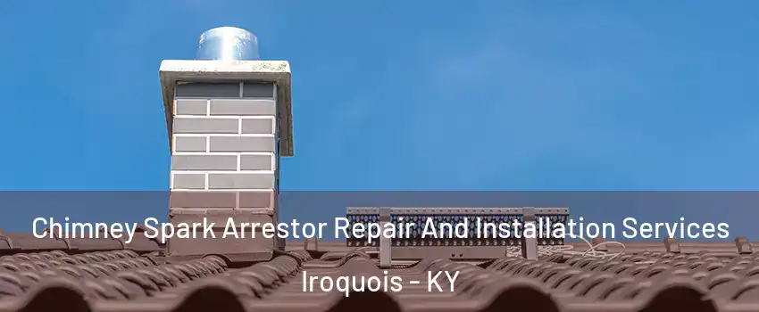 Chimney Spark Arrestor Repair And Installation Services Iroquois - KY