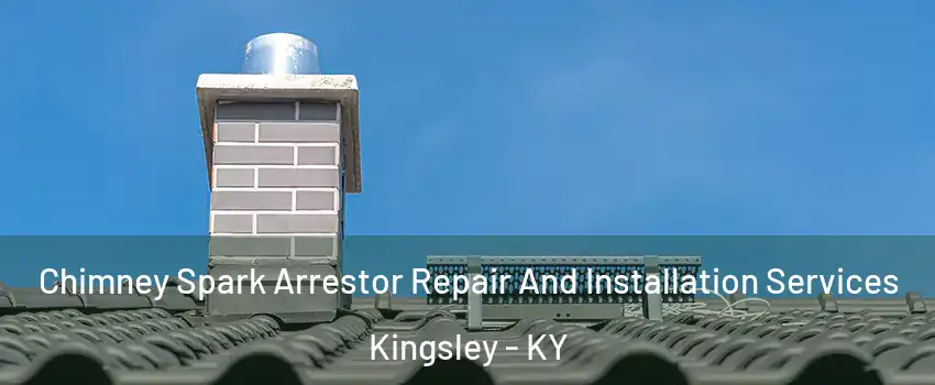 Chimney Spark Arrestor Repair And Installation Services Kingsley - KY