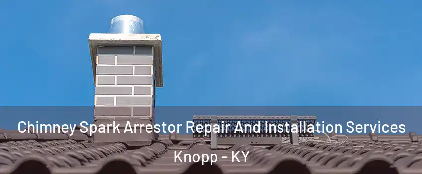 Chimney Spark Arrestor Repair And Installation Services Knopp - KY