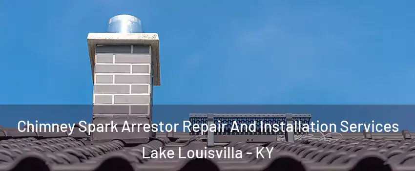 Chimney Spark Arrestor Repair And Installation Services Lake Louisvilla - KY