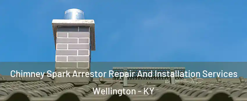 Chimney Spark Arrestor Repair And Installation Services Wellington - KY