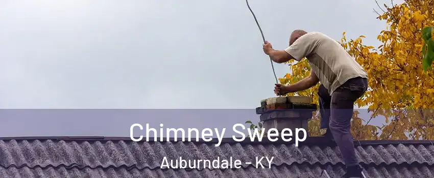 Chimney Sweep Auburndale - KY