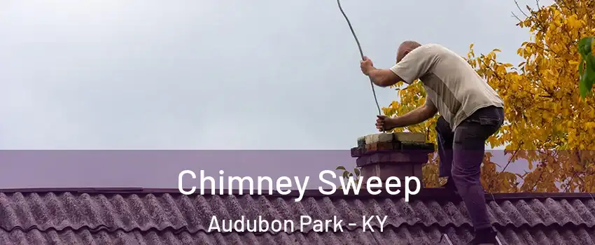 Chimney Sweep Audubon Park - KY