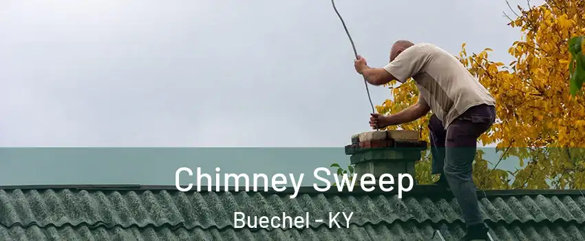 Chimney Sweep Buechel - KY