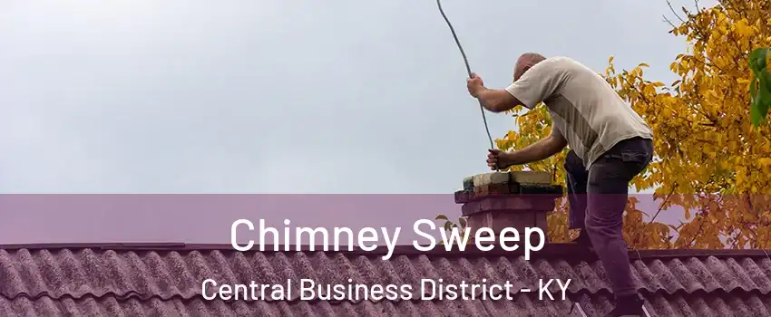 Chimney Sweep Central Business District - KY