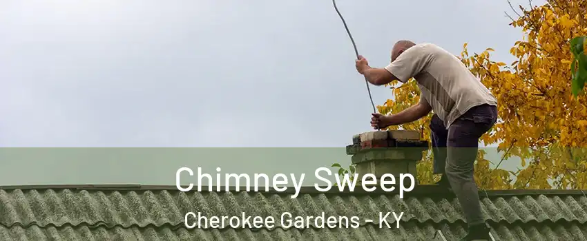 Chimney Sweep Cherokee Gardens - KY