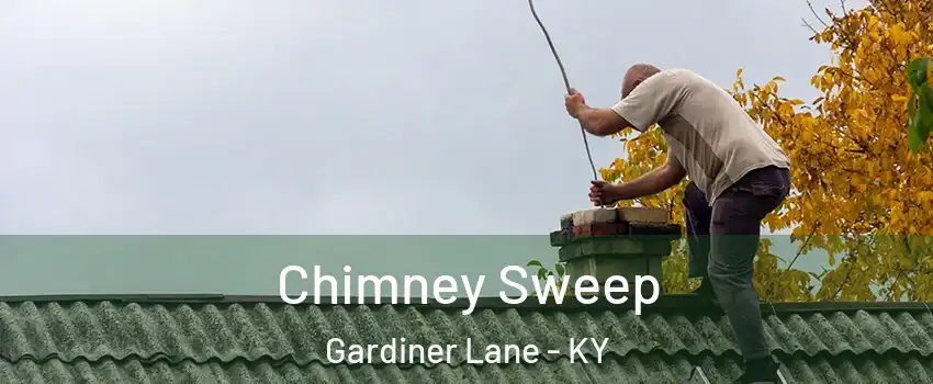 Chimney Sweep Gardiner Lane - KY