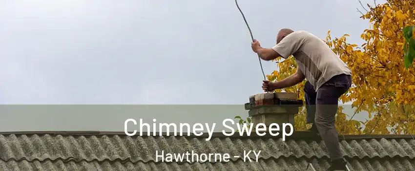 Chimney Sweep Hawthorne - KY